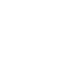 Teman Logo